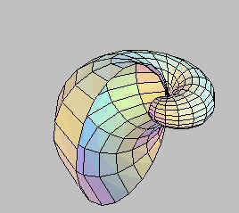 wpe57.jpg (24284 octets)